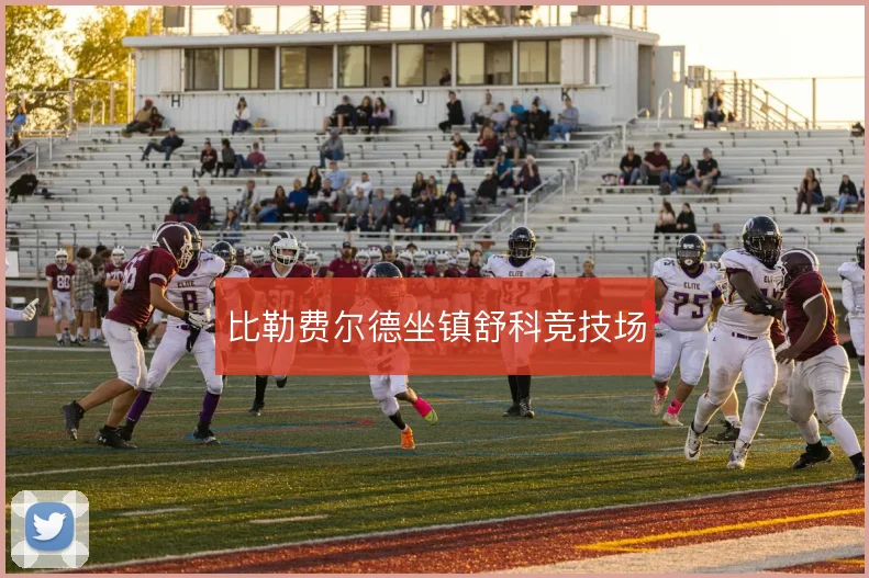 比勒费尔德坐镇舒科竞技场
