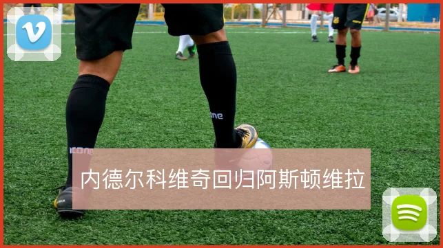 内德尔科维奇回归阿斯顿维拉